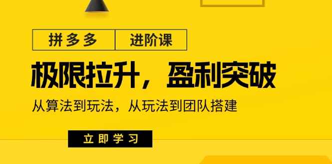 （11435期）拼多多·进阶课：极限拉升/盈利突破：从算法到玩法 从玩法到团队搭建-18节-咩咩网络