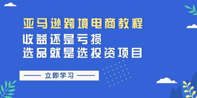 （11432期）亚马逊跨境电商教程：收益还是亏损！选品就是选投资项目-咩咩网络