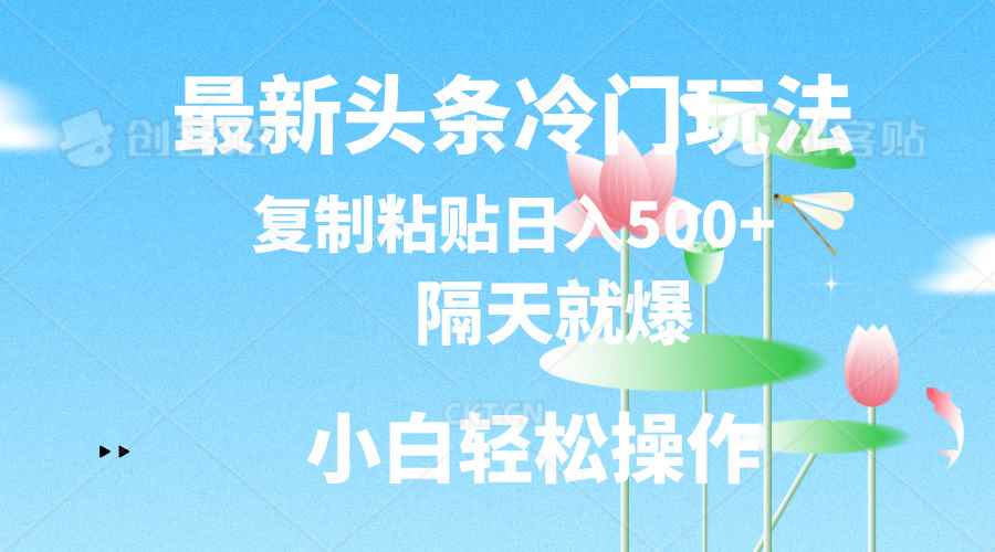 （11414期）最新头条冷门玩法，隔天就爆，复制粘贴日入500+-咩咩网络