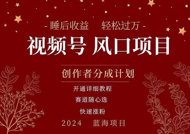 （11331期）拥有睡眠收益的微信视频号大风口项目，轻松月入过万+，多赛道选择，可…-咩咩网络