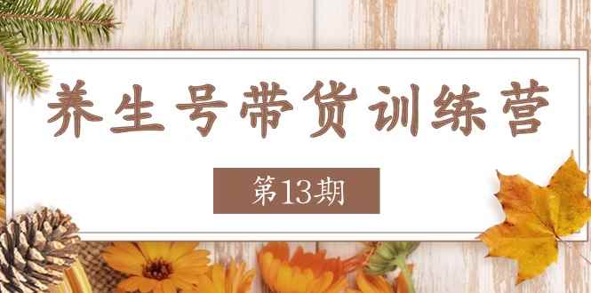 （11275期）养生号-带货训练营【第13期】收益更稳定的玩法，让你带货收益爆炸-咩咩网络