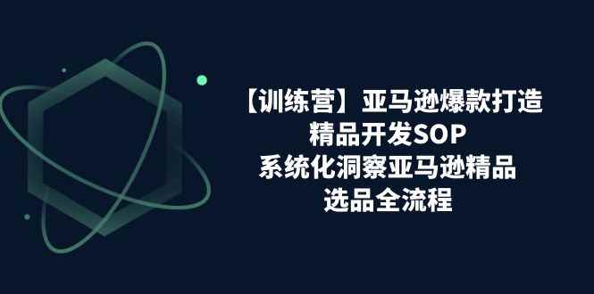 （11210期）【训练营】亚马逊爆款打造之精品开发SOP，系统化洞察亚马逊精品选品全流程-咩咩网络
