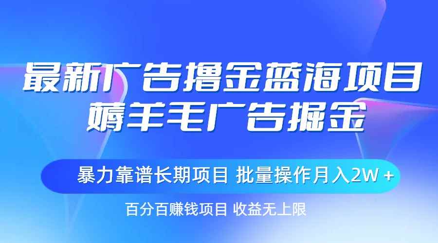 （11193期）最新广告撸金蓝海项目，薅羊毛广告掘金 长期项目 批量操作月入2W＋-咩咩网络