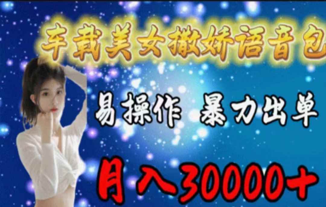 （11249期）车载美女撒娇语音包，执行就出单，月入3000＋，小白看完课程就能马上实操-咩咩网络