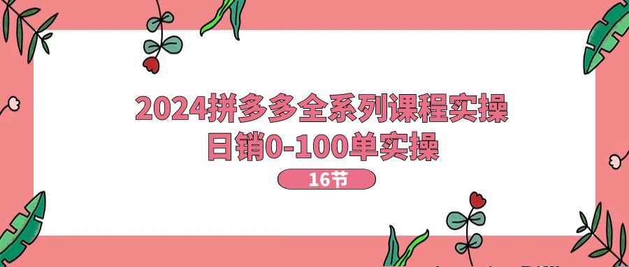 （11222期）2024拼多多全系列课程实操，日销0-100单实操【16节课】-咩咩网络