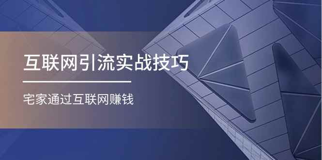 （11108期）互联网引流实操技巧(适合微商，吸引宝妈)，宅家通过互联网赚钱（17节）-咩咩网络