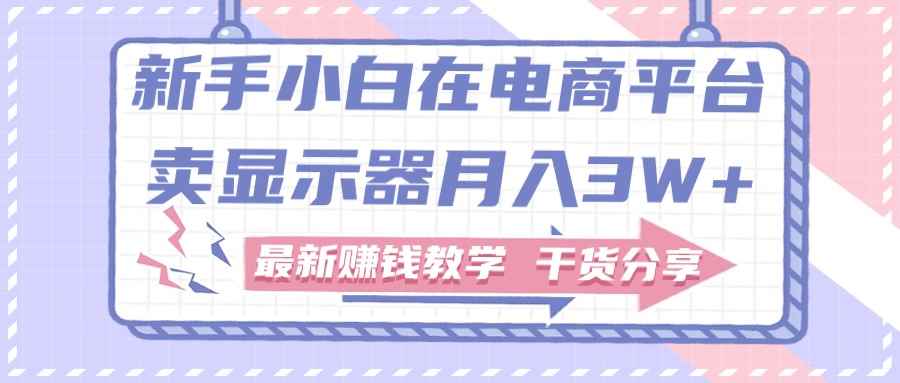 （11053期）新手小白如何做到在电商平台卖显示器月入3W+，最新赚钱教学干货分享-咩咩网络