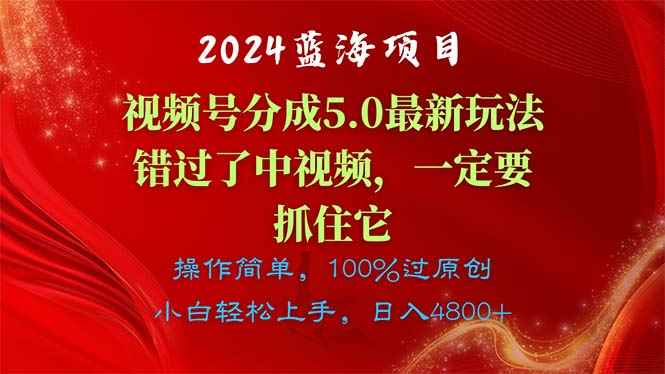 （11032期）2024蓝海项目，视频号分成计划5.0最新玩法，错过了中视频，一定要抓住…-咩咩网络