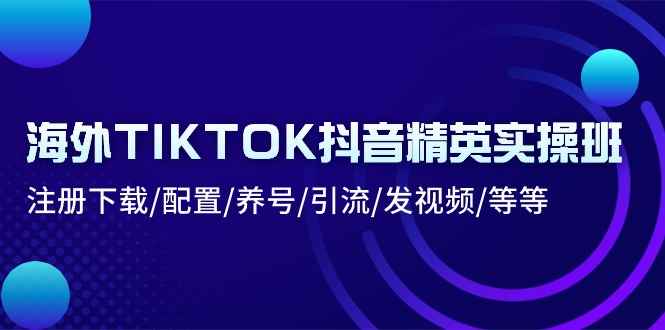 （10998期）海外TIKTOK抖音精英实操班：注册下载/配置/养号/引流/发视频/等等-咩咩网络