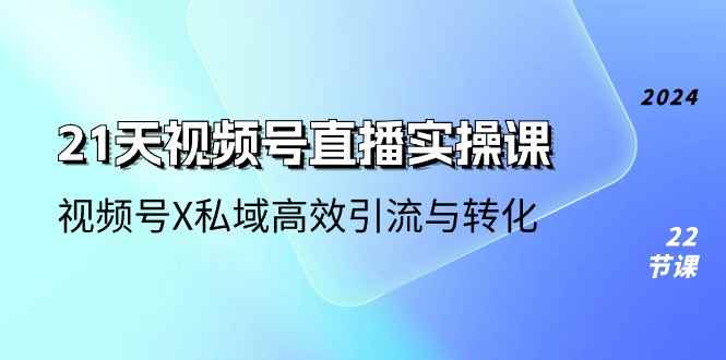 （10966期）21天-视频号直播实操课，视频号X私域高效引流与转化（22节课）-咩咩网络