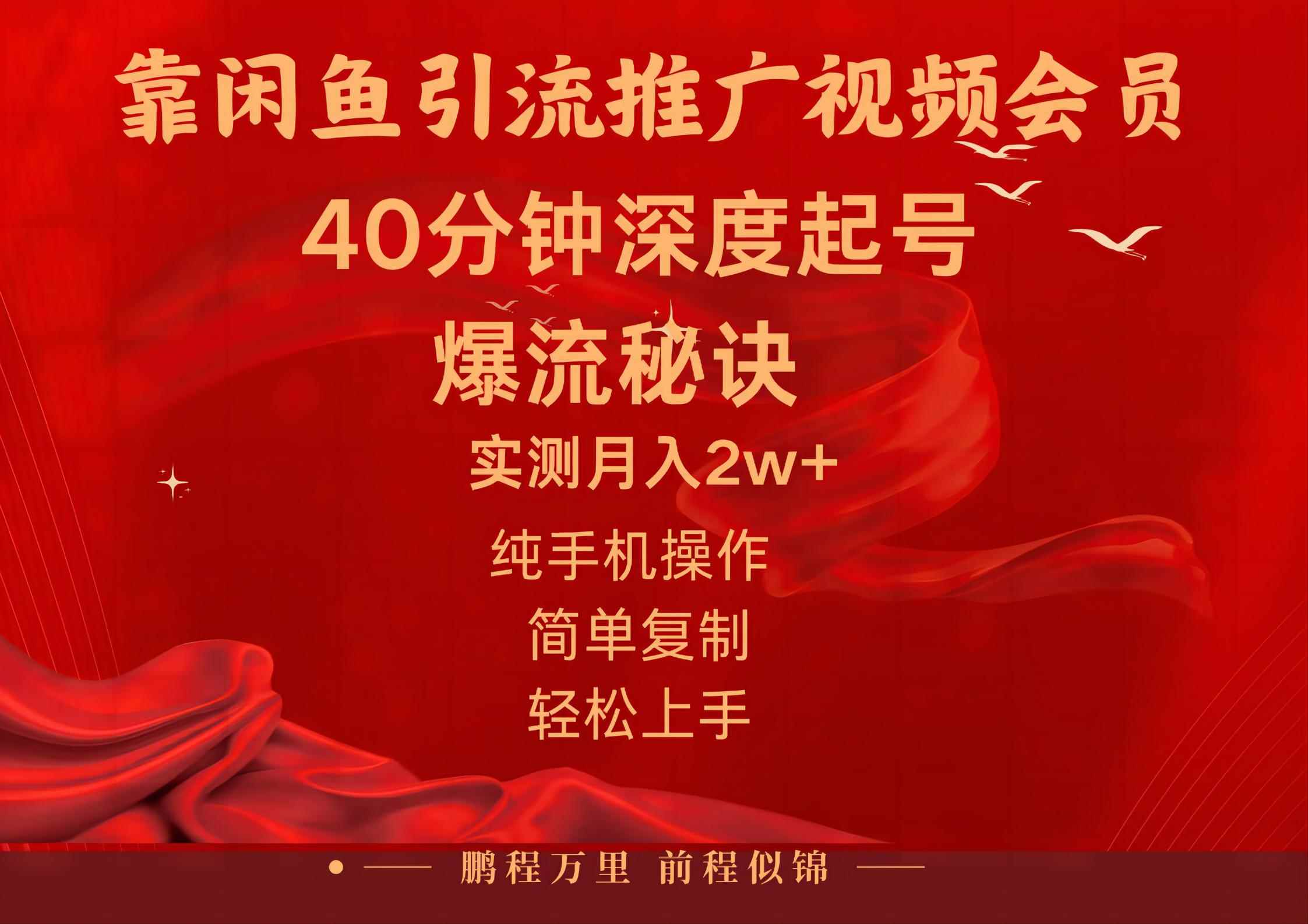 （10895期）闲鱼暴力引流推广视频会员，能做到日入2W+，操作简单-咩咩网络