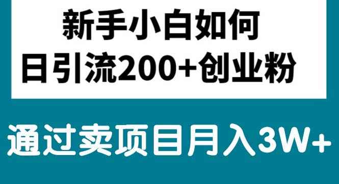 （10843期）新手小白日引流200+创业粉,通过卖项目月入3W+-咩咩网络
