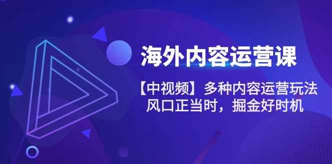 （10833期）海外内容 运营课【中视频】多种内容运营玩法 风口正当时 掘金好时机-101节-咩咩网络