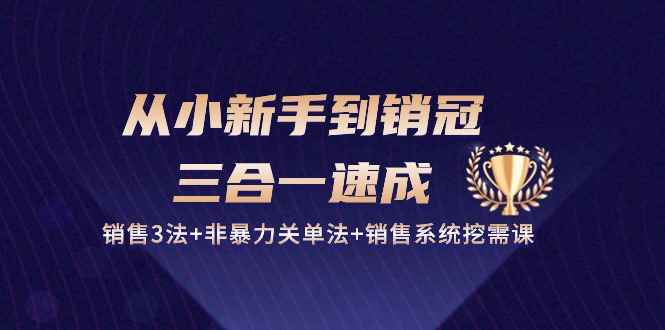 （10799期）从小新手到销冠 三合一速成：销售3法+非暴力关单法+销售系统挖需课 (27节)-咩咩网络