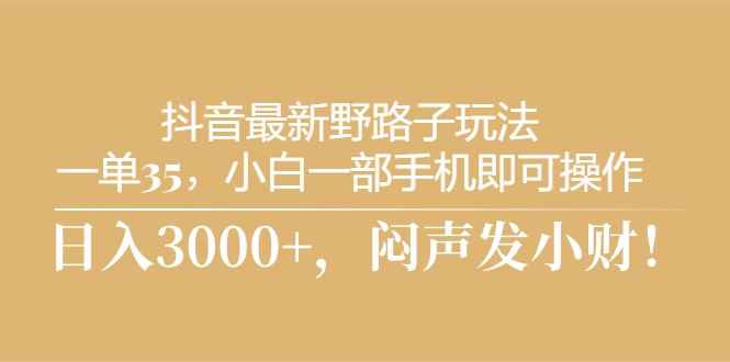 （10766期）抖音最新野路子玩法，一单35，小白一部手机即可操作，，日入3000+，闷…-咩咩网络