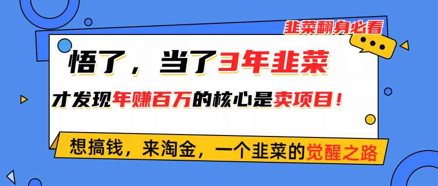 （10759期）悟了，当了3年韭菜，才发现网赚圈年赚100万的核心是卖项目，含泪分享！-咩咩网络