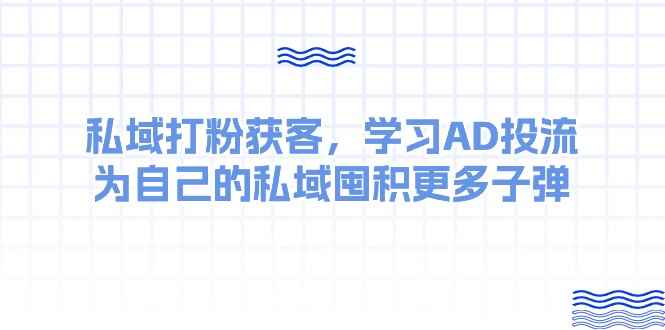 （10728期）某收费课：私域打粉获客，学习AD投流，为自己的私域囤积更多子弹-咩咩网络