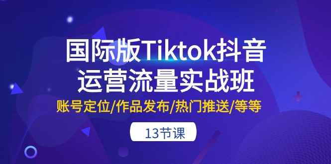 （10712期）国际版Tiktok抖音运营流量实战班：账号定位/作品发布/热门推送/等等-13节-咩咩网络