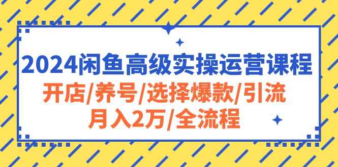 （10711期）2024闲鱼高级实操运营课程：开店/养号/选择爆款/引流/月入2万/全流程-咩咩网络