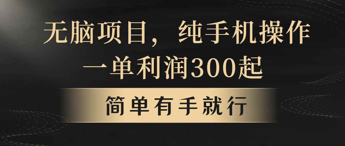 （10699期）无脑项目，一单几百块，轻松月入5w+，看完就能直接操作-咩咩网络