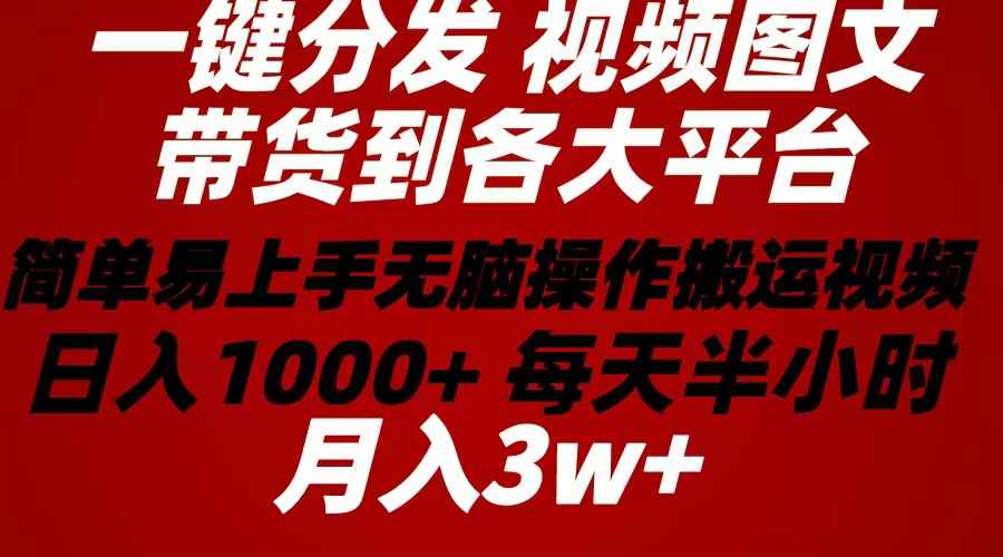 （10667期）2024年 一键分发带货图文视频  简单易上手 无脑赚收益 每天半小时日入1…-咩咩网络
