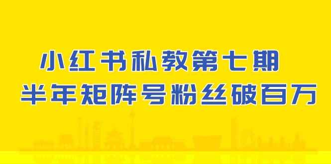 (10650期）小红书-私教第七期，小红书90天涨粉18w，1周涨粉破万 半年矩阵号粉丝破百万-咩咩网络