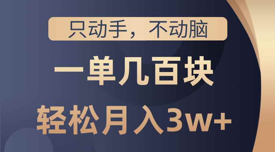 （10561期）只动手不动脑，一单几百块，轻松月入3w+，看完就能直接操作，详细教程-咩咩网络