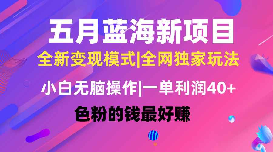 （10477期）五月蓝海项目全新玩法，小白无脑操作，一天几分钟，矩阵操作，月入4万+-咩咩网络