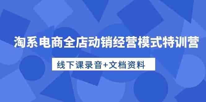 （10192期）淘系电商全店动销经营模式特训营，线下课录音+文档资料-咩咩网络