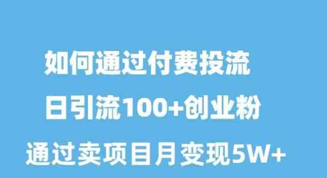 （10189期）如何通过付费投流日引流100+创业粉月变现5W+-咩咩网络