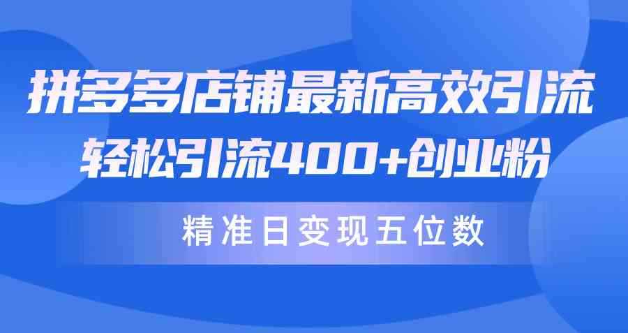 （10041期）拼多多店铺最新高效引流术，轻松引流400+创业粉，精准日变现五位数！-咩咩网络