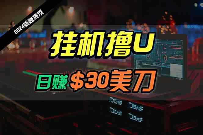 （10013期）日赚30美刀，2024最新海外挂机撸U内部项目，全程无人值守，可批量放大-咩咩网络