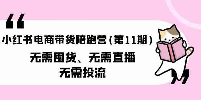 （9996期）小红书电商带货陪跑营(第11期)无需囤货、无需直播、无需投流（送往期10套）-咩咩网络