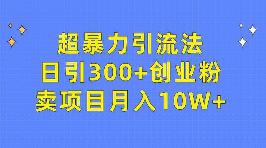 （9954期）超暴力引流法，日引300+创业粉，卖项目月入10W+-咩咩网络
