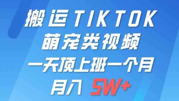 （9931期）一键搬运TIKTOK萌宠类视频 一部手机即可操作 所有平台均可发布 轻松月入5W+-咩咩网络