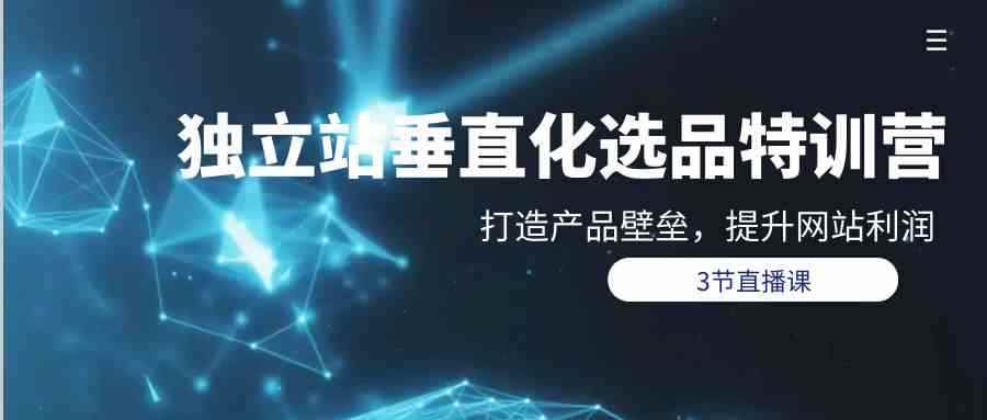 （9925期）独立站-垂直化选品训练营，打造产品壁垒，提升网站利润（3节直播课）-咩咩网络