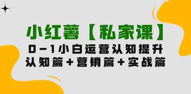 （9910期）小红薯【私家课】0-1玩赚小红书内容营销，认知篇+营销篇+实战篇（11节课）-咩咩网络