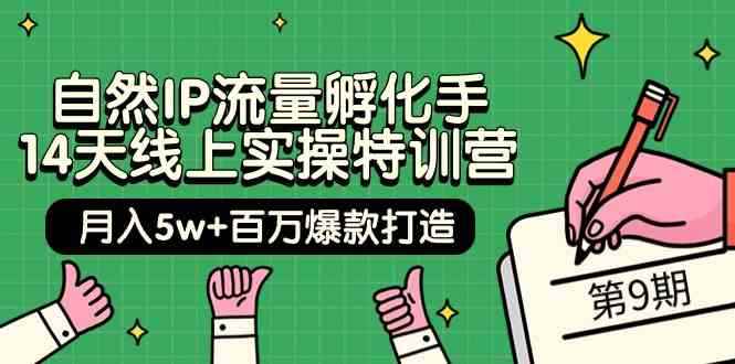 （9881期）自然IP流量孵化手 14天线上实操特训营【第9期】月入5w+百万爆款打造 (74节)-咩咩网络