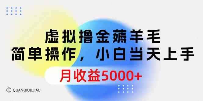 （9864期）虚拟撸金薅羊毛，简单操作，小白当天上手，月收益5000+-咩咩网络