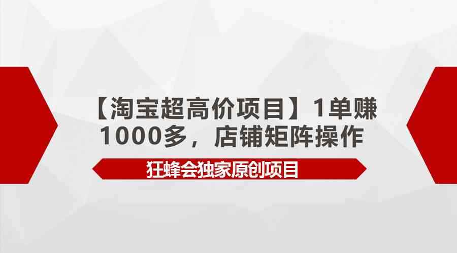 （9849期）【淘宝超高价项目】1单赚1000多，店铺矩阵操作-咩咩网络