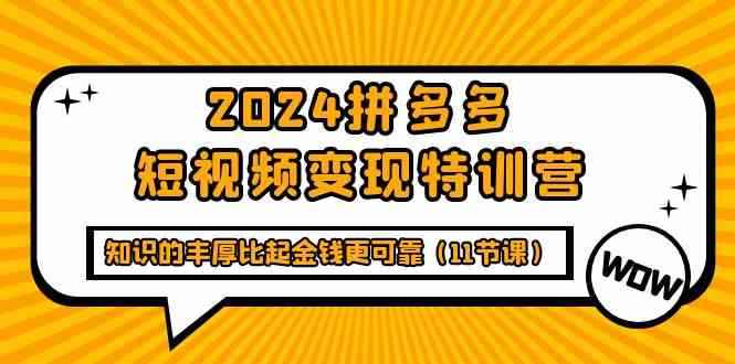 （9817期）2024拼多多短视频变现特训营，知识的丰厚比起金钱更可靠（11节课）-咩咩网络