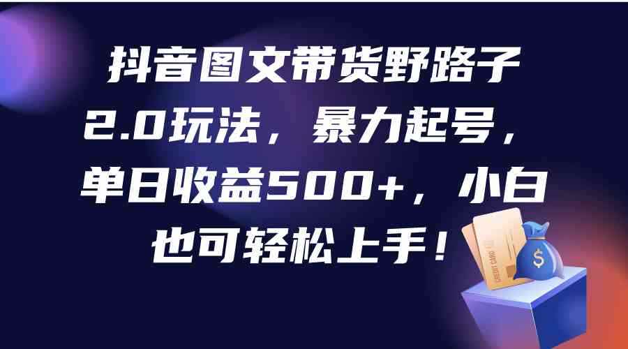 （9790期）抖音图文带货野路子2.0玩法，暴力起号，单日收益500+，小白也可轻松上手！-咩咩网络