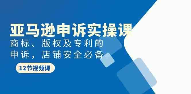 （9754期）亚马逊-申诉实战课，​商标、版权及专利的申诉，店铺安全必备-咩咩网络