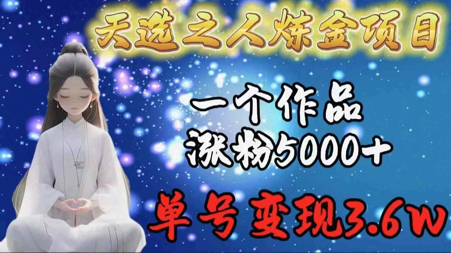 （9693期）天选之人炼金项目，一个作品涨粉5000+，单号变现3.6w-咩咩网络