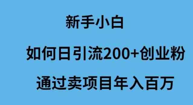 （9668期）新手小白如何日引流200+创业粉通过卖项目年入百万-咩咩网络