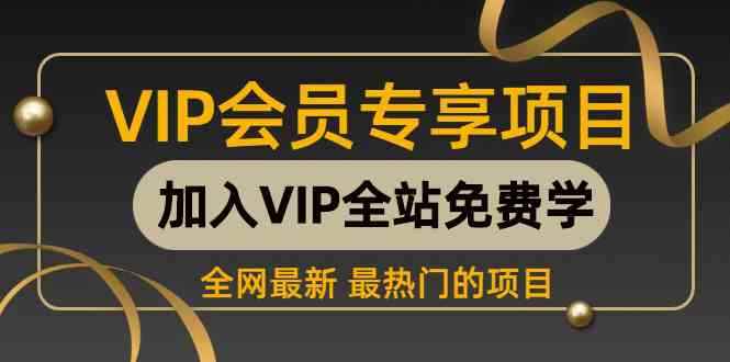 （9651期） 2024视频号最新撸收益技术，爆火赛道起号玩法，收益稳定，单日1000+-咩咩网络