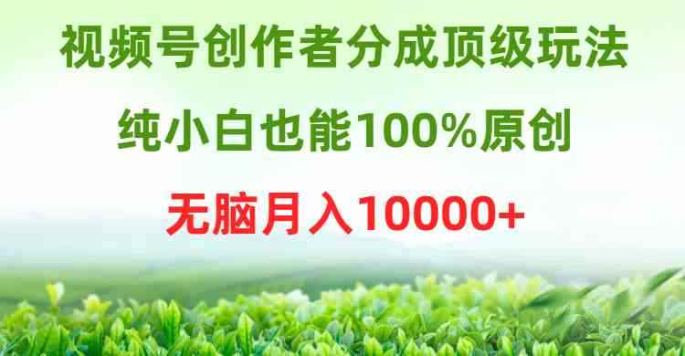 （9608期）视频号创作者分成顶级玩法，纯小白也能100%原创，无脑月入10000+-咩咩网络