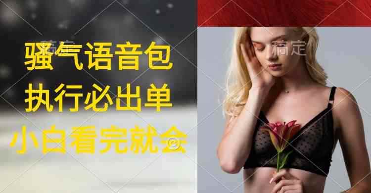 （9589期）执行就出单，日入2000+，超火骚气语音包，小白看完课程就能马上实操-咩咩网络