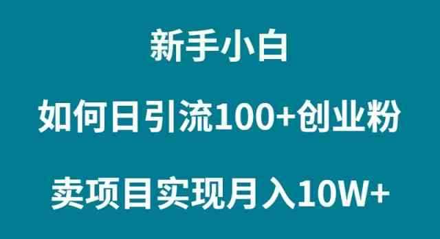 （9556期）新手小白如何通过卖项目实现月入10W+-咩咩网络