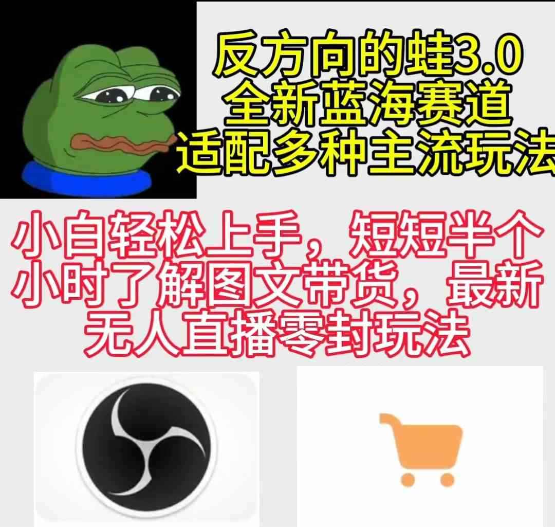 （9485期）反方向的蛙3.0，图文最新玩法，变现多元化，新蓝海项目，小白轻松上手-咩咩网络